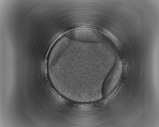 X0000112170892200909181411