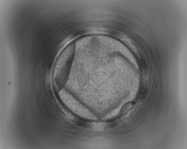 X0000112170893200909181411