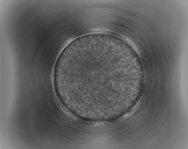 X0000112170899200909181411