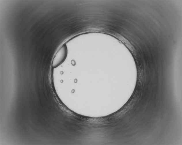 X0000112170904200909181411