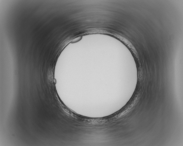 X0000112170905200909181411