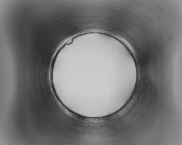 X0000112170910200909181411