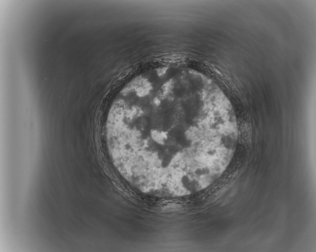 X0000112170913200909181410