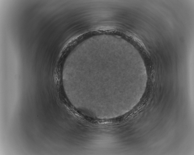 X0000112170920200909181410