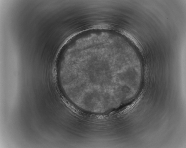 X0000112170923200909181410