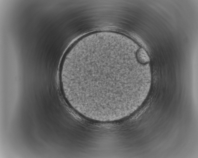 X0000112170932200909181410