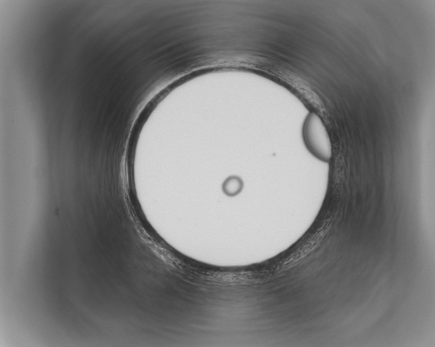 X0000112170936200909181410