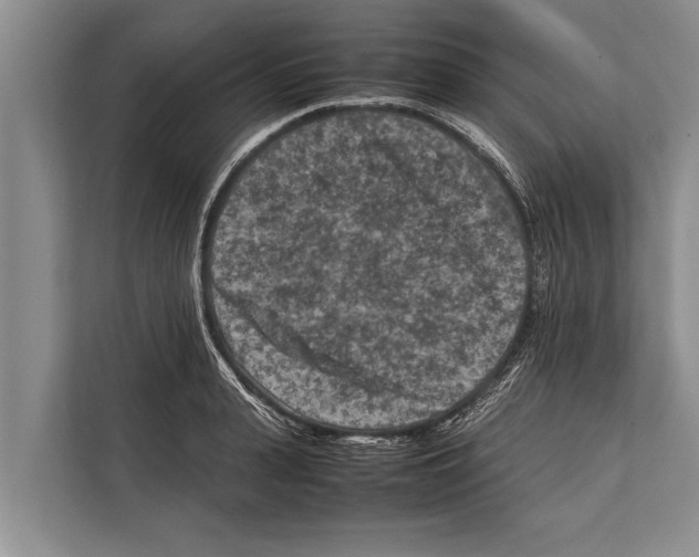 X0000112170943200909181410