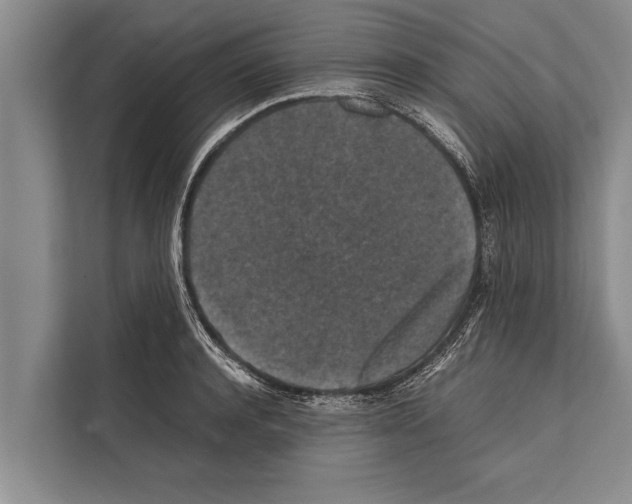 X0000112170944200909181410