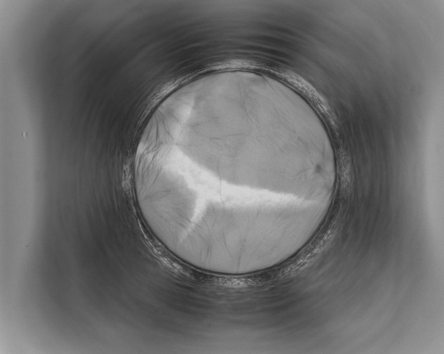 X0000112170945200909181410