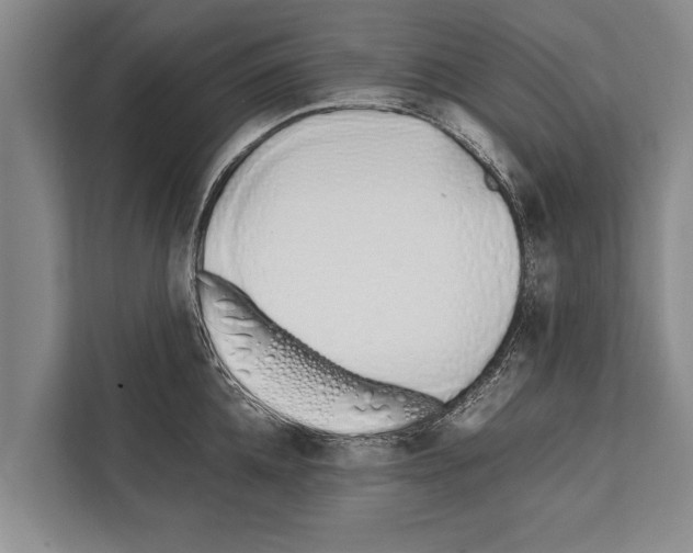 X0000112170952200909181410