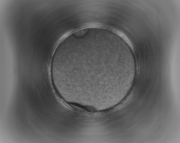 X0000112170954200909181410