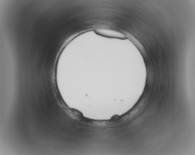 X0000112170956200909181410