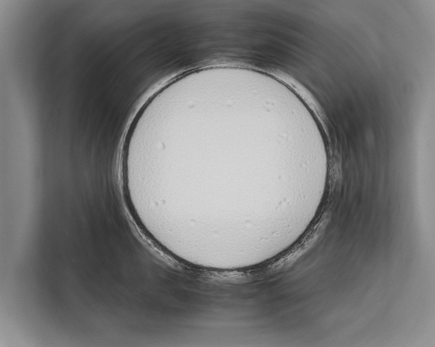 X0000112170957200909181410