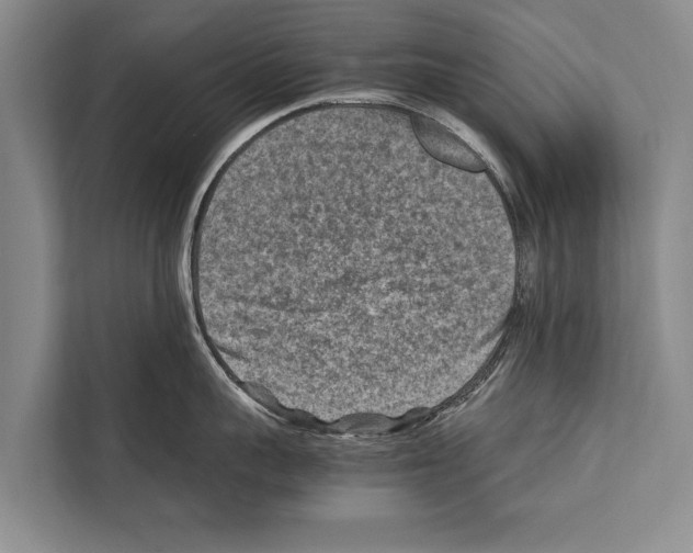 X0000112170959200909181411