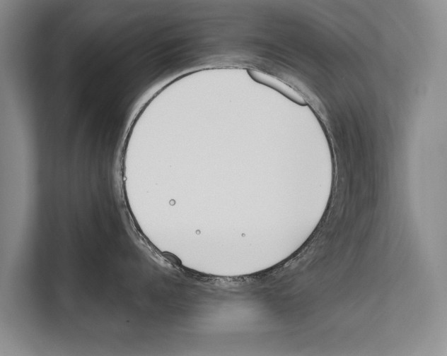 X0000112170960200909181411