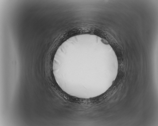 X0000112170961200909181410