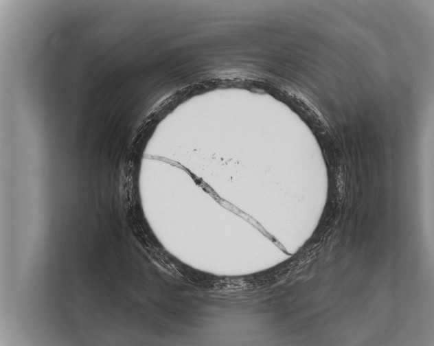 X0000112170968200909181410