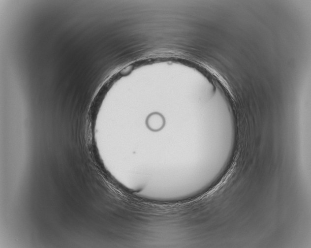 X0000112170973200909181410