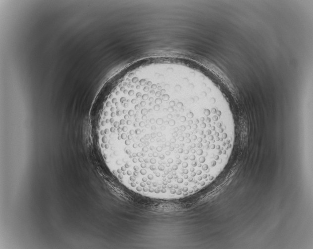 X0000112170974200909181410