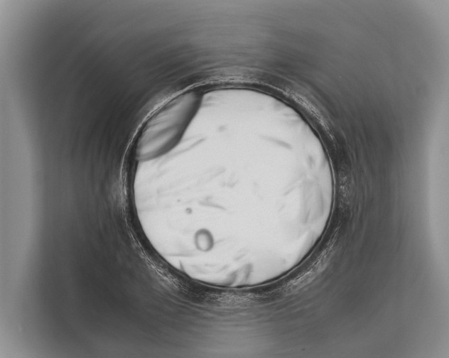 X0000112170981200909181410