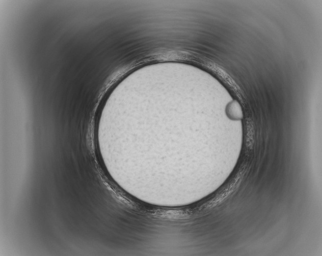 X0000112170986200909181410