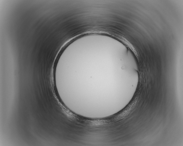 X0000112170988200909181410