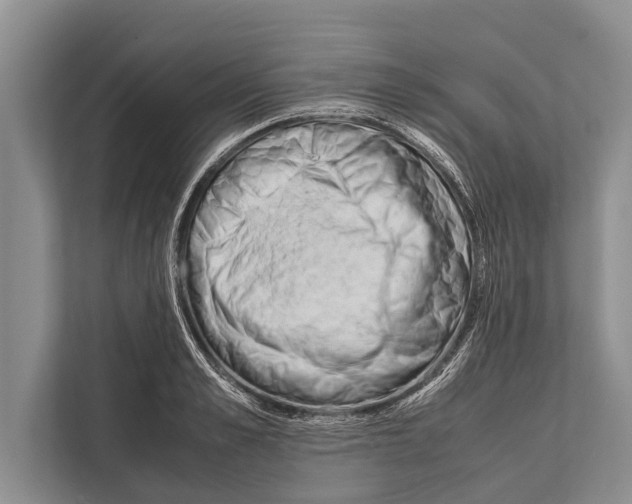 X0000112170989200909181410