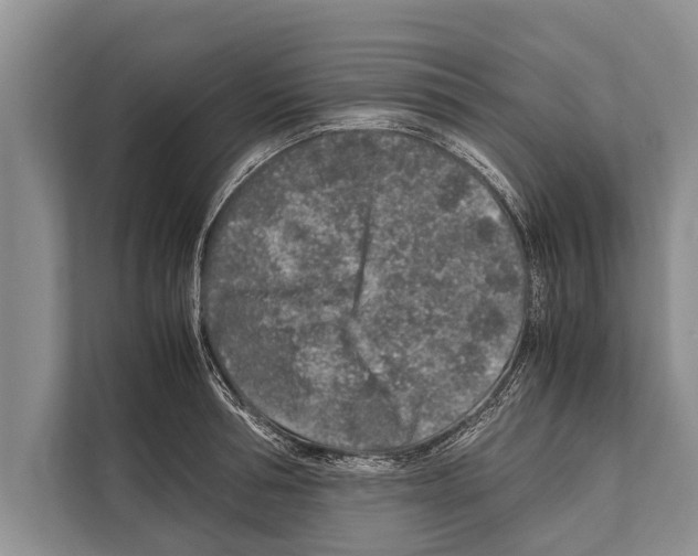 X0000112170994200909181409