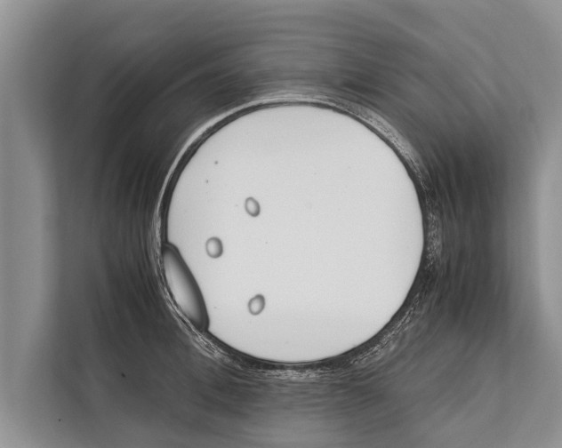 X0000112170996200909181409