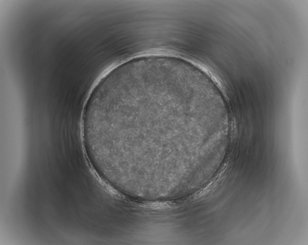 X0000112170998200909181409