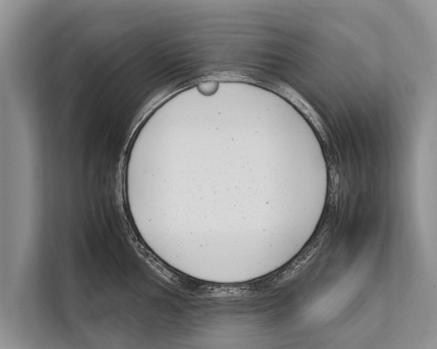 X0000112171002200909181409