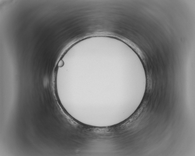 X0000112171006200909181409