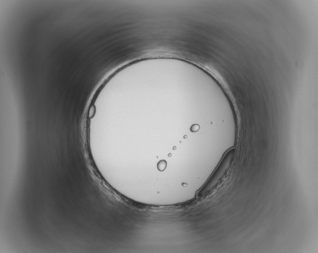 X0000112171008200909181409