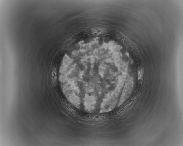 X0000112171011200909181409