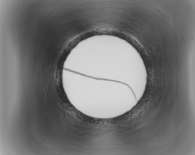 X0000112171016200909181409