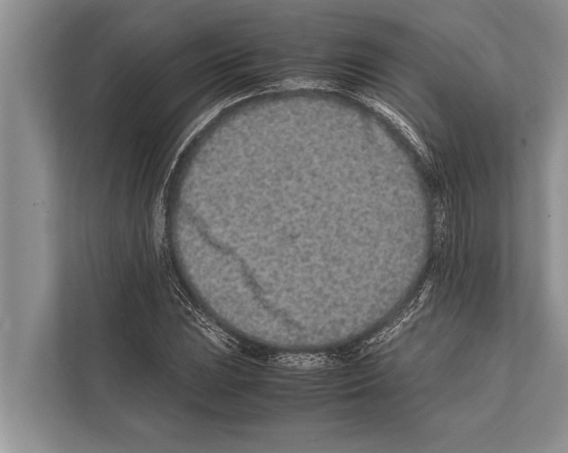 X0000112171023200909181409