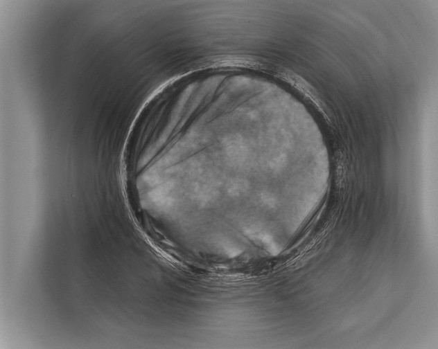 X0000112171024200909181409