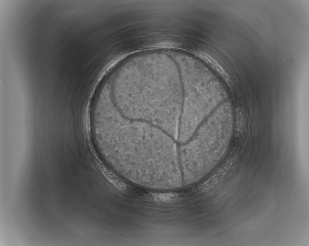 X0000112171031200909181409