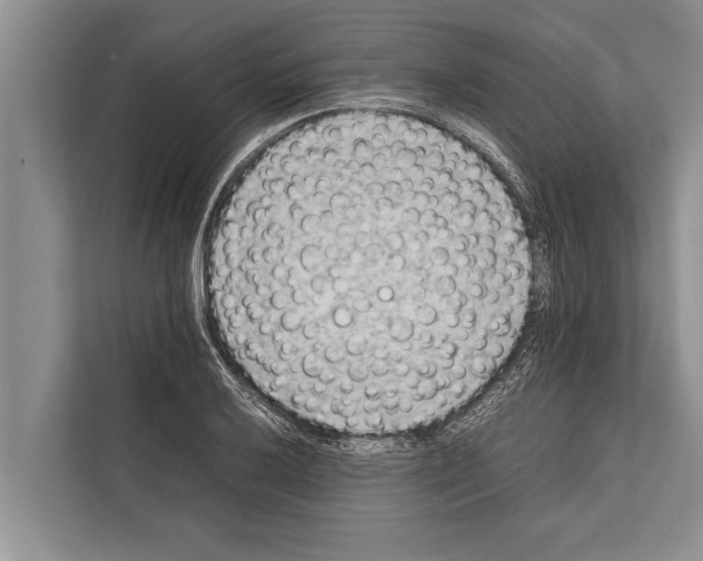 X0000112171032200909181409