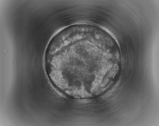 X0000112171045200909181409