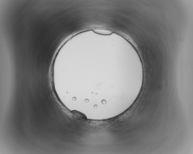 X0000112171056200909181409