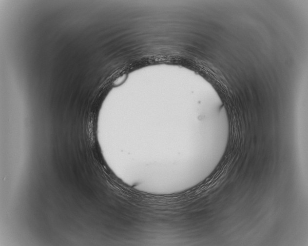 X0000112171060200909181409