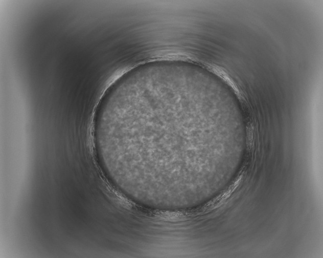 X0000112171071200909181408