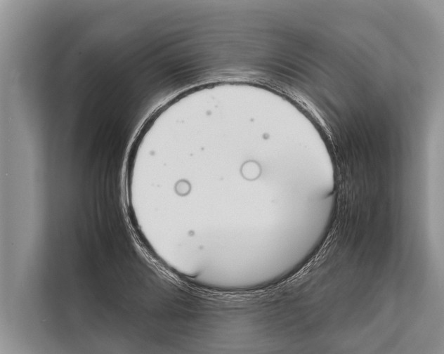 X0000112171080200909181408