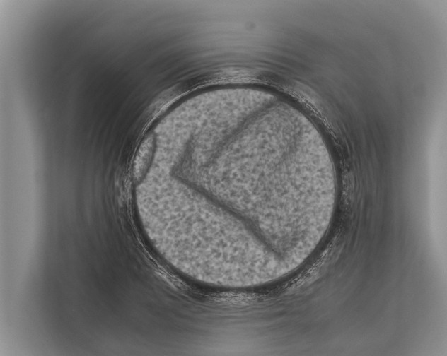 X0000112171081200909181408