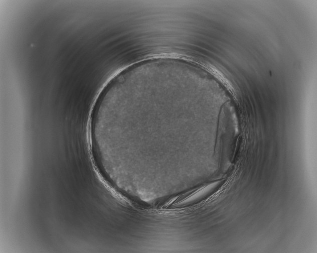 X0000112171084200909181408