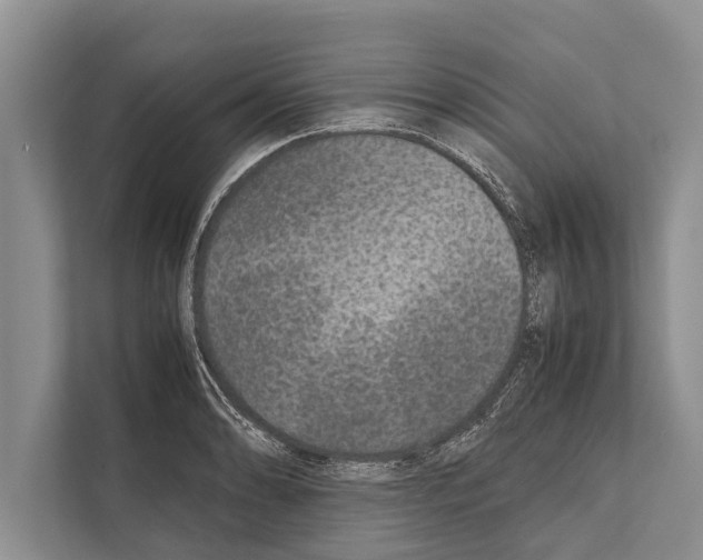 X0000112171086200909181408