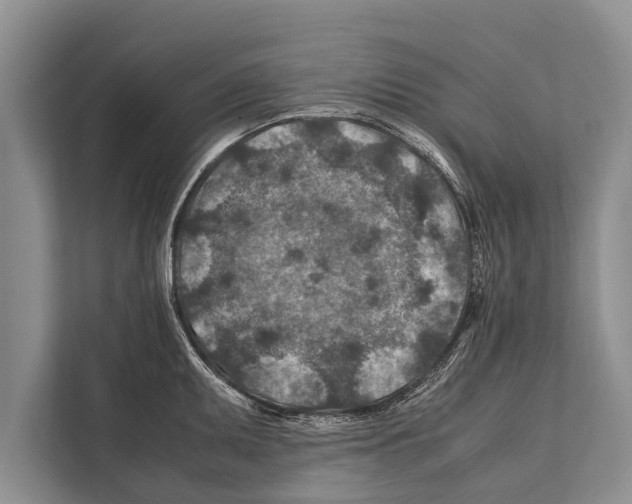 X0000112171095200909181408