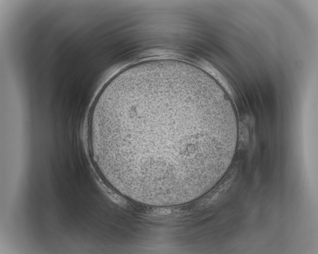 X0000112171098200909181408